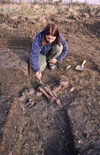 Excavating at Stansted